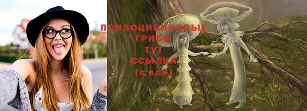 PSILOCYBIN Балабаново