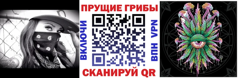 Псилоцибиновые грибы Psilocybine cubensis  Чернушка 