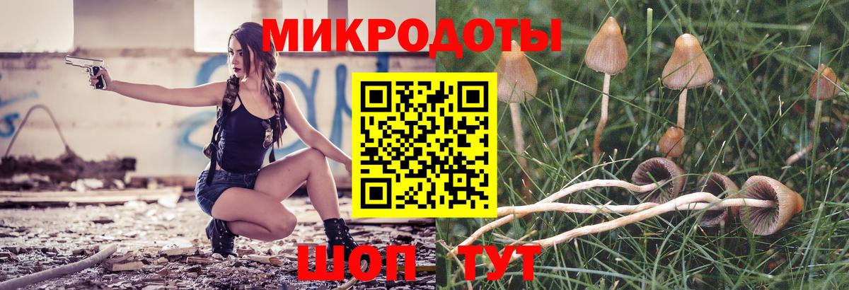 Галлюциногенные грибы Cubensis Чернушка