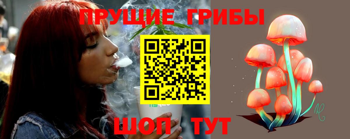 Псилоцибиновые грибы Psilocybe  Вход с VPN  Чернушка  Галлюциногенные грибы Magic Shrooms 