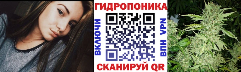как найти наркотики  Чернушка  Конопля VHQ 